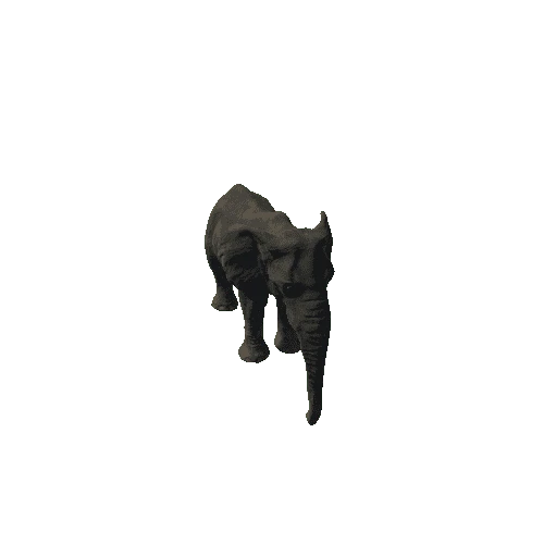 elephant_female_fv_rm_mat4_SHP