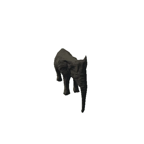 elephant_female_fv_rm_mat4_SLP