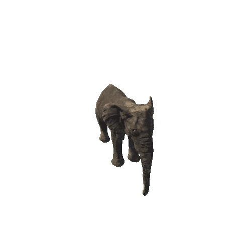 elephant_female_fv_rm_mat5_LP