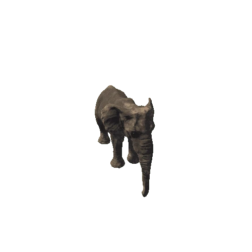 elephant_female_fv_rm_mat5_SHP