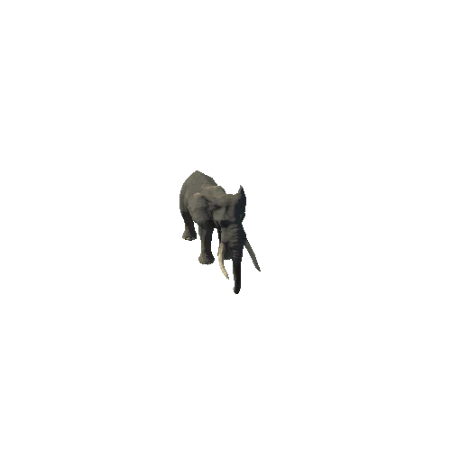 elephant_ii_fv_ip_mat3_HP