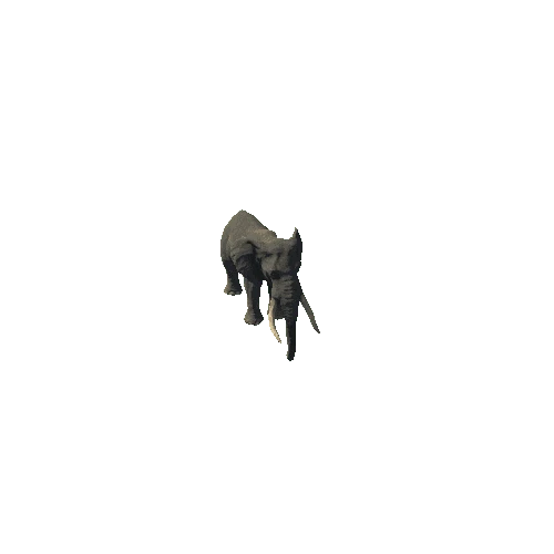 elephant_ii_fv_ip_mat3_LP