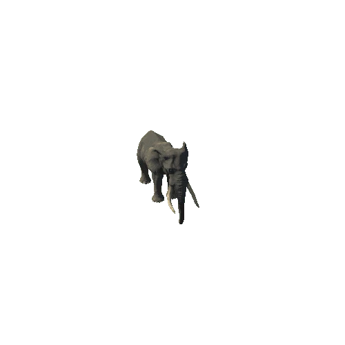 elephant_ii_fv_ip_mat3_SHP