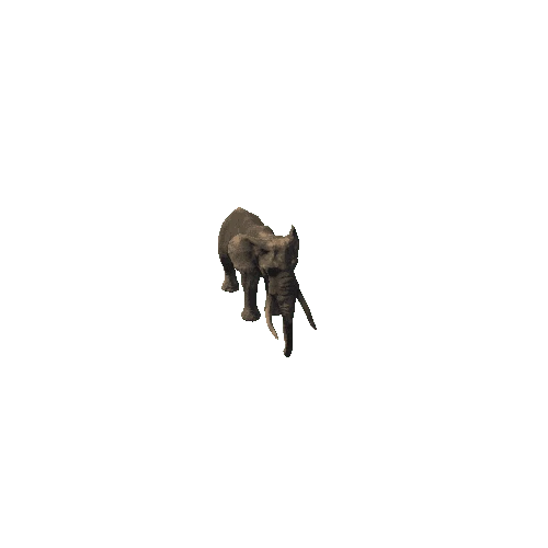 elephant_ii_fv_ip_mat5_HP