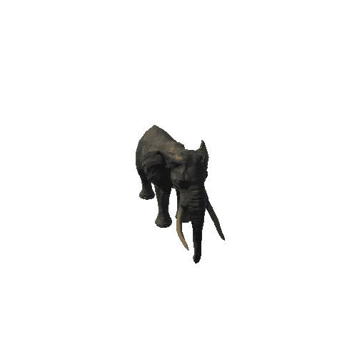 elephant_ii_fv_rm_mat4_LP