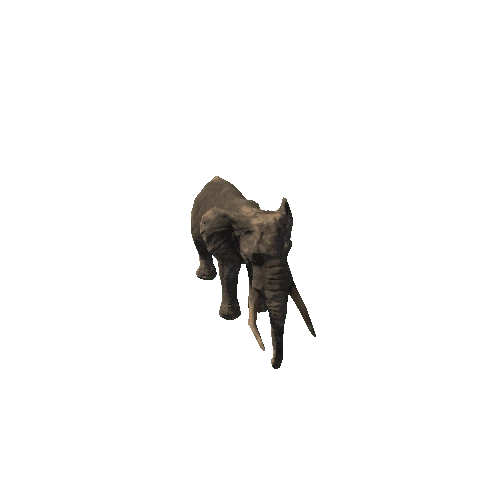 elephant_ii_fv_rm_mat5_SLP