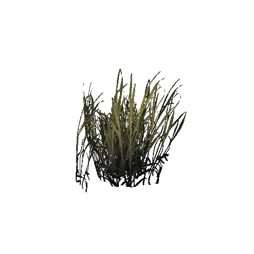 grass_01_a