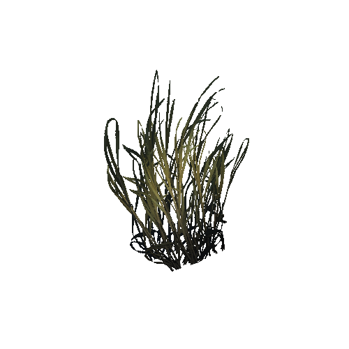 grass_01_b