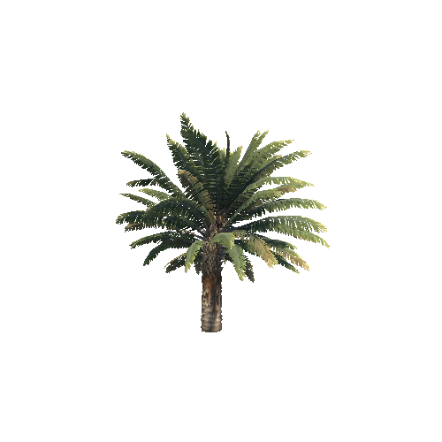 palm_small_a