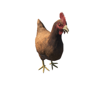 Chicken_v3_prefab
