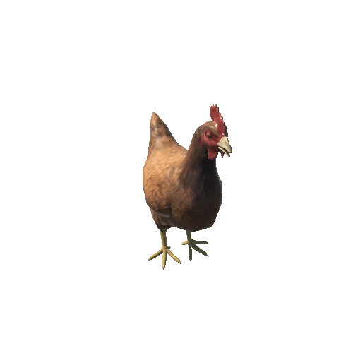 Chicken_v3_prefab