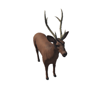 Deer_male_prefab