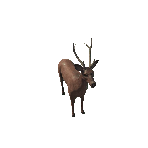 Deer_male_prefab