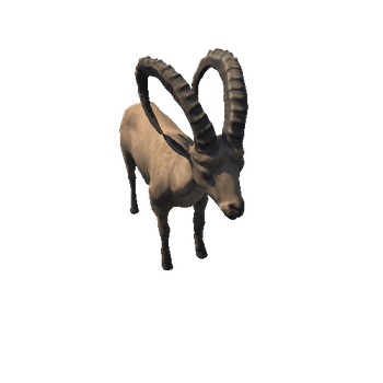 Ibex_prefab