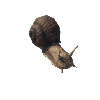 Snail_prefab