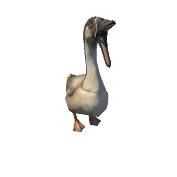 Swan_goose_prefab