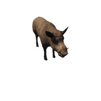 Wild_boar_prefab