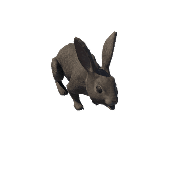 Wild_rabbit_prefab