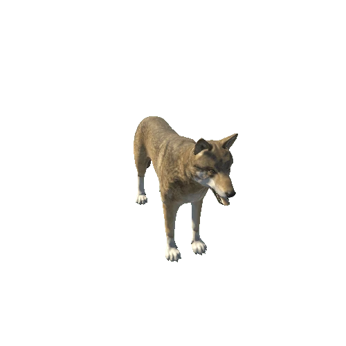 Wolf_prefab