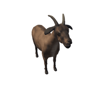 goat_prefab