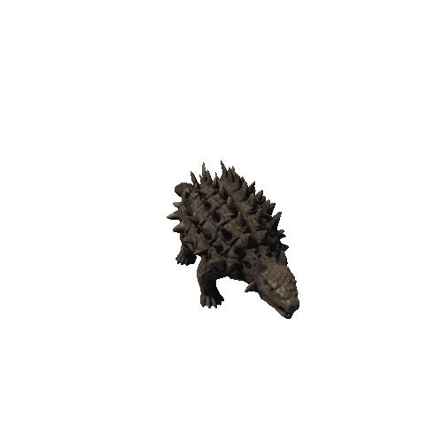 bb_ankylosaurus_fv_rm_SHP