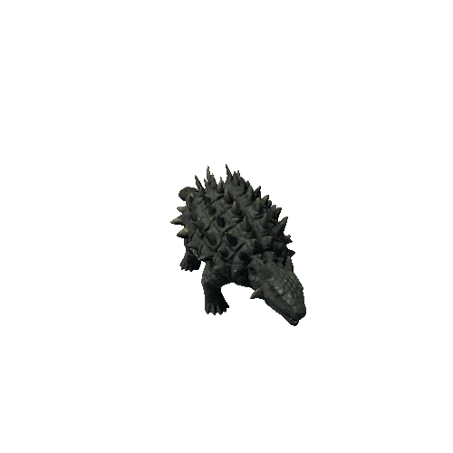 bb_ankylosaurus_fv_rm_mat2_HP