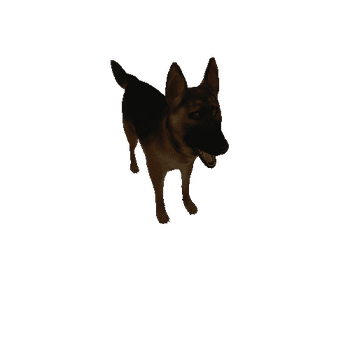 GermanShepherd_2020_Var2