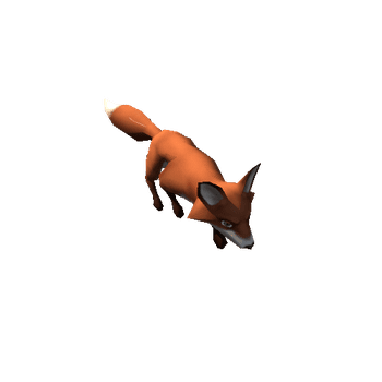 Fox_01