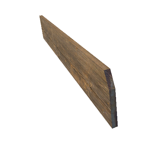 Plank_004