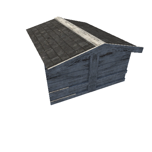 Roof_centr_003