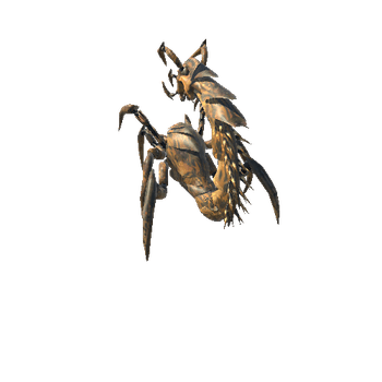 Beetle@gethit Three Bugs