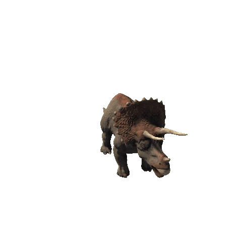 BB_Triceratops_FV_RM_HP