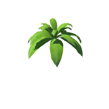 Plant_02