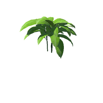 Plant_03