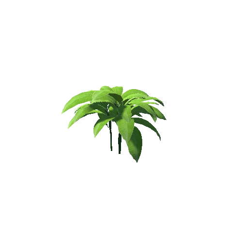 Plant_03