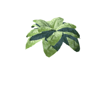 Plant_04