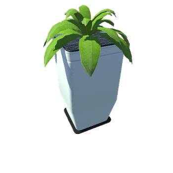 Plant_Big_02