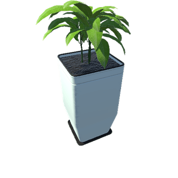 Plant_Big_03