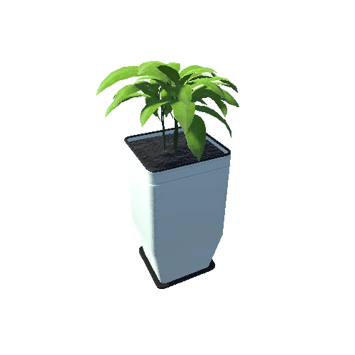 Plant_Big_03