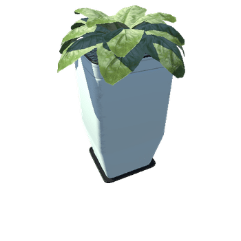 Plant_Big_04