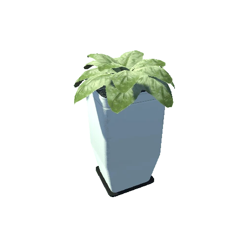 Plant_Big_04