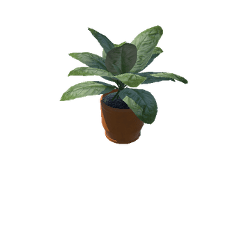 Plant_Small_01