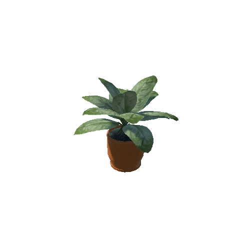 Plant_Small_01