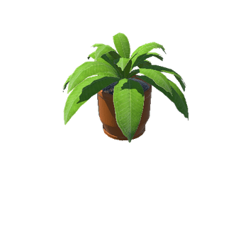 Plant_Small_02