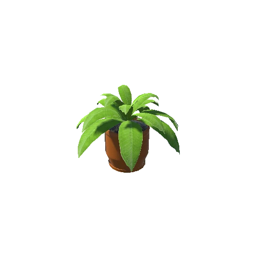 Plant_Small_02