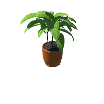 Plant_Small_03