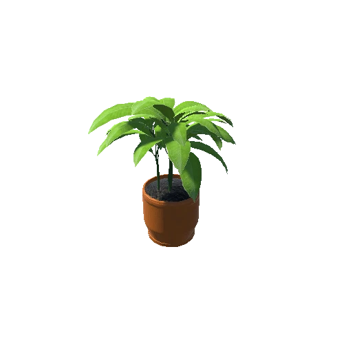 Plant_Small_03