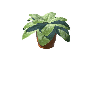 Plant_Small_04