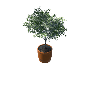 Plant_Small_05