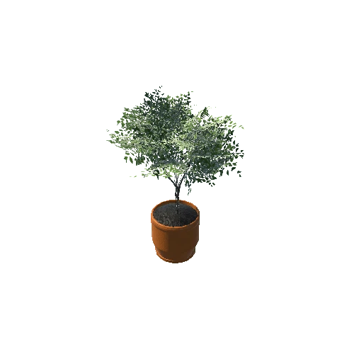 Plant_Small_05